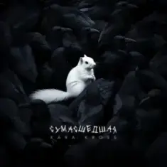 KARA KROSS — Сумасшедшая