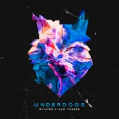 Evaride & Sam Tinnesz — Underdogs