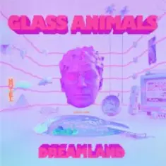 Glass Animals — Heat Waves