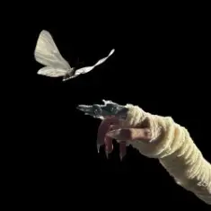 The Temper Trap — Sweet Disposition (ARTBAT Remix)