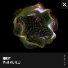 Ritchy — What You Need