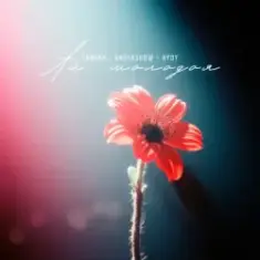 Тайпан feat. KARTASHOW & HYDY — Ай, молодая