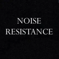 Noise Resistance — Prostitute