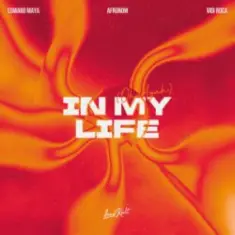 Edward Maya & AFRONOM & vidi roca — In My Life (Oh Ayah)