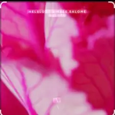 Helsloot & Mees Salome — Solace (Extended Mix)