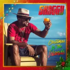 SHAGGY feat. Jamila Falak — Christmas time