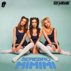 Серебро — Mimimi