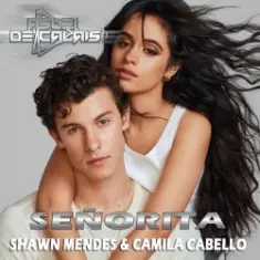 Shawn Mendes & Camila Cabello — Senorita