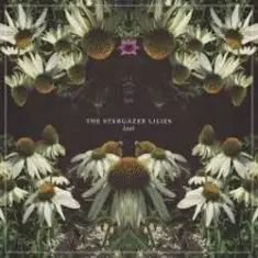 Lost World — Stargazer