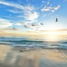 unknown — Шум моря, релакс