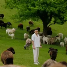 ХАС — Досі живий