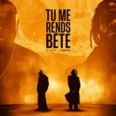 GIMS & Damso — TU ME RENDS BÊTE
