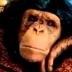 Алексин — Ну Что Ж Ты Страшная Такая