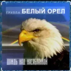 Белый Орел — Дождь смывает все следы