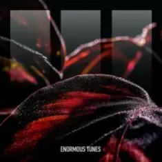 Croatia Squad — Don't Ever Look Back