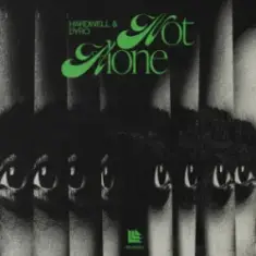 Hardwell & Dyro — Not Alone