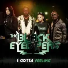 Black Eyed Peas — I gotta feeling (Laidback Luke remix)