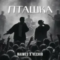 NAIMES & VECHIR — пташка (KARMV REMIX)