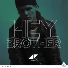 Avicii — Hey Brother (Syn Cole Remix)