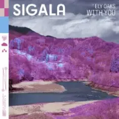 Sigala — With You (feat. Ely Oaks)