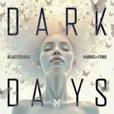 BlasterJaxx, Harris & Ford — Dark Days
