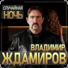 Владимир Ждамиров — Случайная ночь