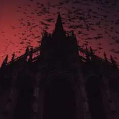 Willix & STM — Opium