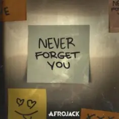 AFROJACK — Never Forget You