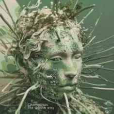 Champirolls — Leafs In The System