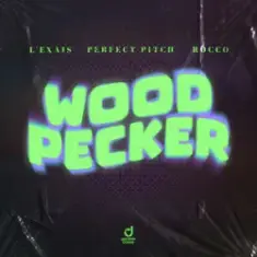 L'EXAIS & Perfect Pitch & Rocco — Woodpecker
