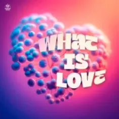 SYNFLO & Niki Four — What Is Love
