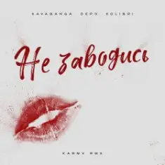 kavabanga Depo kolibri — Не заводись (karmv rmx)