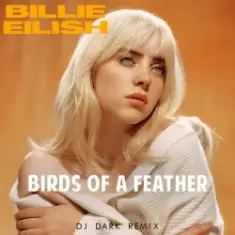 Billie Eilish — Birds Of A Feather