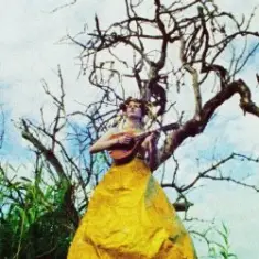 Sally Dige — I Will Be The Sun For You