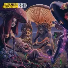 Infected Mushroom — UMF Radio