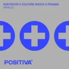Sub Focus & Culture Shock & Fragma — Miracle