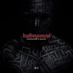 HEDEGAARD & Sanjin — badboysound