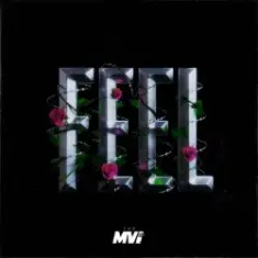 The MVI — FEEL