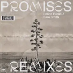 Calvin Harris;Sam Smith — Promises (David Guetta Remix)