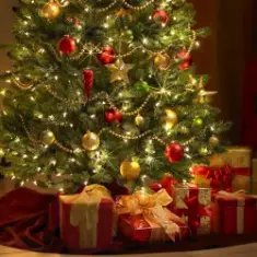 Acting Lovers — Under the christmas tree