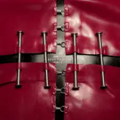 Lady Gaga — Abracadabra (Gesaffelstein Remix)