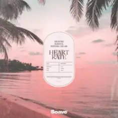 Montri & Survol — Heart Rate (feat. Stefan Celar)