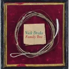 Nick Drake — Winter Is Gone
