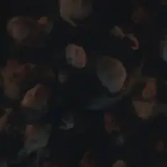 Kenya Grace — Naked