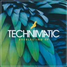 Technimatic — Not Far To Go (Mixed)