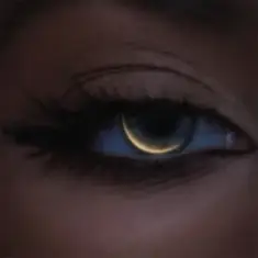 VERONIKA — Тимчасові