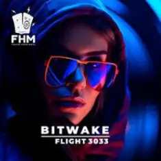 Bitwake — Flight 3033