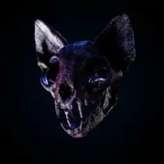 Darci — Wild Horse