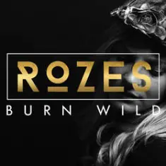 Rozes — Everything