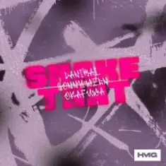 Danimal & Sonny Wern — Shake That